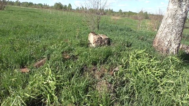 Коп как Коп.Назад в Будущее ЧАСТЬ 1 смотреть онлайн
