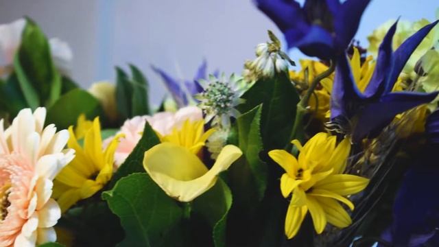 Базовый курс октябрь 2018