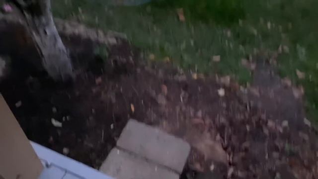 ВЛОГ Селёдочка с ялтинским лучком / Всё, доработалась ? / Мешки победили 12 октября 2020 г. смотреть онлайн