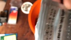 Как запаривать пшеницу и ловить на неё