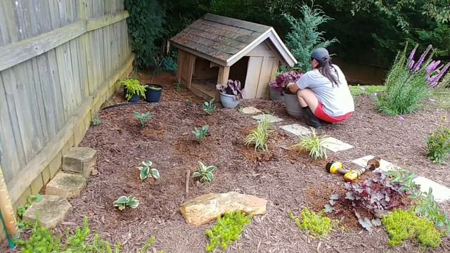 Planting Shade Loving Plants🌿