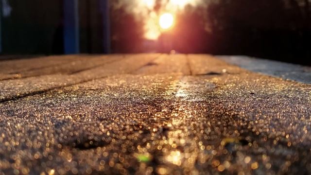 14. новый год в калининграде смотреть онлайн