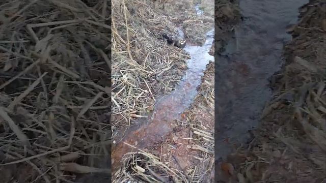 5 ноября 2023 г.