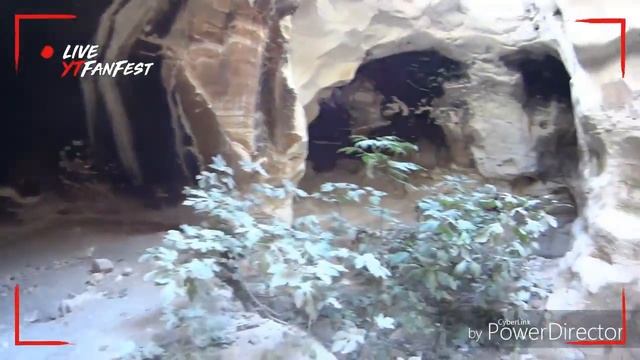 Крылатый верблюд 2018 Израиль.Детский поход с Недетской смысловой нагрузкой.Снимают дети))) смотреть онлайн