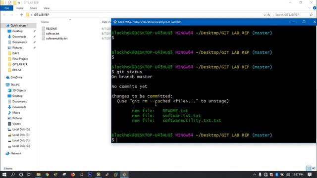 Basic working of git bash and creating new project in Hindi смотреть онлайн