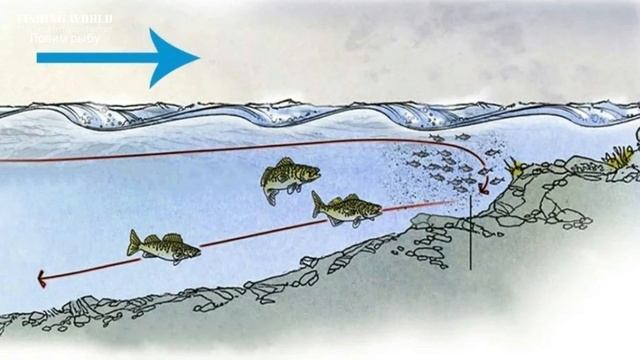 Почему не стоит ехать на рыбалку если ветер дует с востока! смотреть онлайн