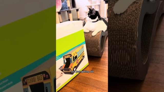 Kitty Soap Opera: Chapter 38... The Sass Mouth, Alcoholic, and Catnip Dealer Kitties смотреть онлайн