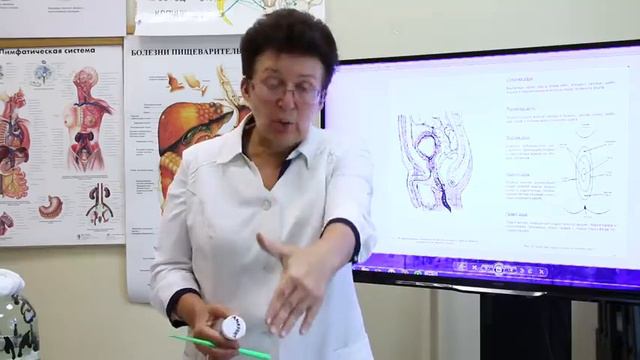 Как лечить геморрой!