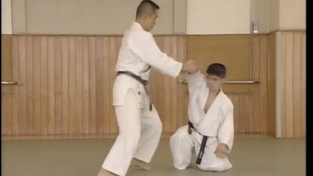 Yoshinkan Aikido - Shomen Uchi Nikajo Osae Ni смотреть онлайн