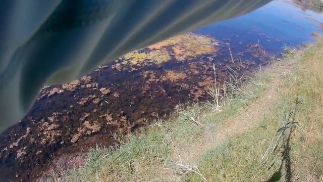 Ловля змееголова 2020. Узбекистан / Catching snakehead 2020. Uzbekistan смотреть онлайн