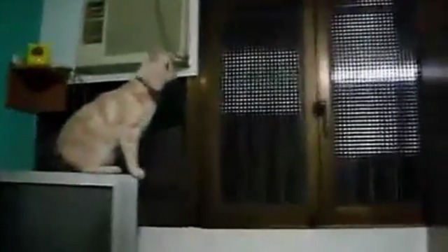 Недолет смотреть онлайн
