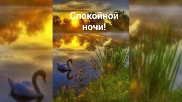 СПОКОЙНОЙ НОЧИ??ДО ЗАВТРА?? смотреть онлайн