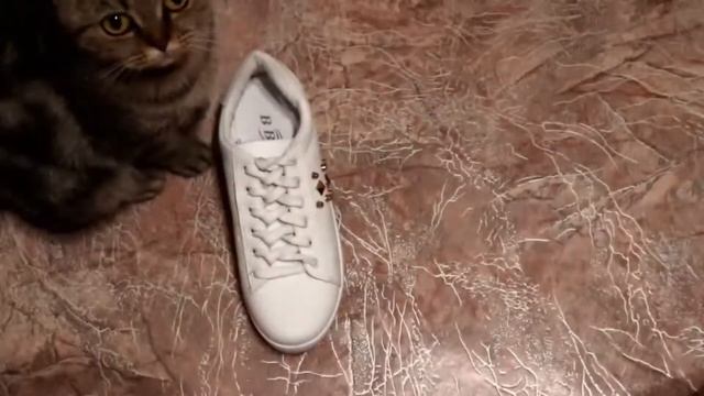 3 Creative Ways to fasten Shoelaces КАК ЗАВЯЗАТЬ ШНУРКИ НА КРОССОВКАХ. Шнуровка кроссовок смотреть онлайн