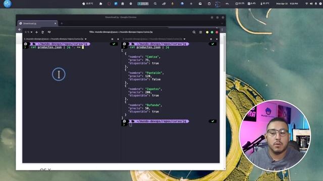 Maneja Json desde la terminal con JQ смотреть онлайн