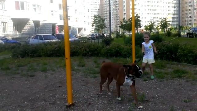 игры на прогулке смотреть онлайн