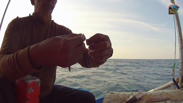 Рыбалка в Тайланде, способы, снасти и приманки смотреть онлайн