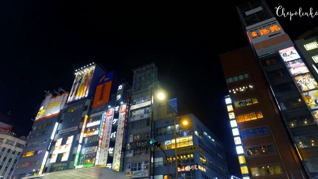 Район Синдзюку в Токио. Япония без комментариев смотреть онлайн