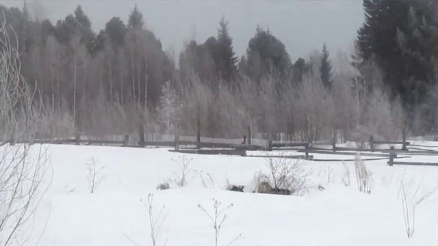 Утро туман морозец -10, днём сильный ветер и снег смотреть онлайн