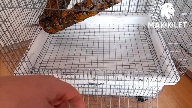 Клетка для белки летяги с местом под беговое колесо/40х50х120см. смотреть онлайн