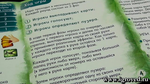 Лузер. Обзор настольной игры от Игроведа смотреть онлайн