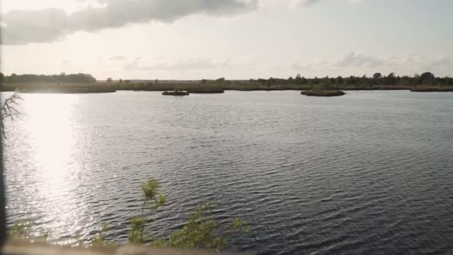 ЧУМОВКА | Второй из мёртвых | Андрей Миля смотреть онлайн