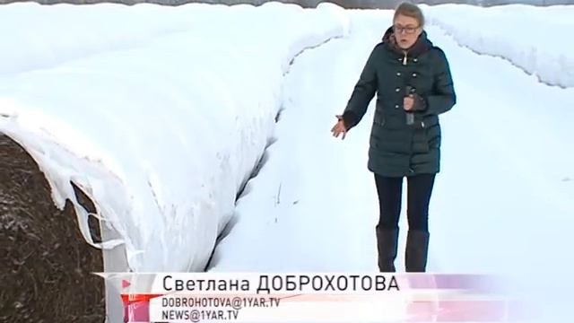 В Большесельском районе на старые бесхозные земли пришел инвестор смотреть онлайн