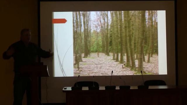 Инвазивные виды растений – кто виноват и что делать? смотреть онлайн