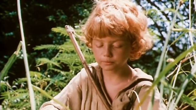 Приключения Тома Сойера и Гекльберри Финна 2 смотреть онлайн