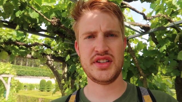 Chateau de Villandry - Top Rated Castle in France смотреть онлайн