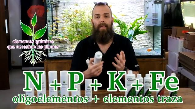 Guía básica para mantener acuarios ?plantados ☘️ ABONADO LÍQUIDO смотреть онлайн
