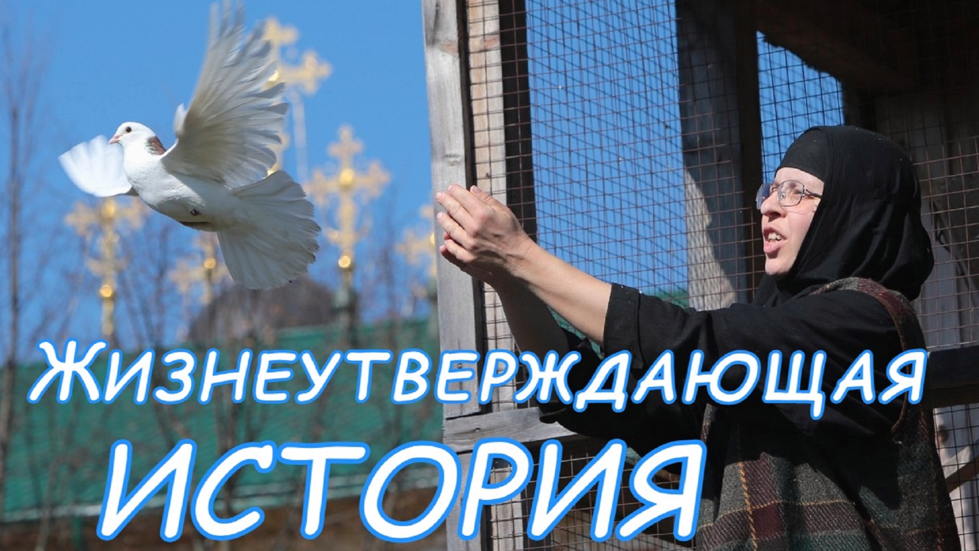 Радостная история от отца Стахия