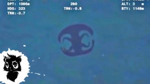 5 МОРСКИХ МОНСТРОВ СНЯТЫХ НА КАМЕРУ [Черный кот]