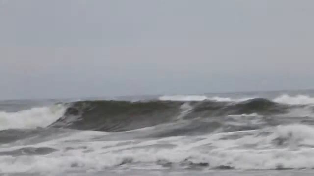 Ракушка смотреть онлайн