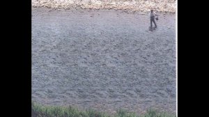 Стерео картинки #7