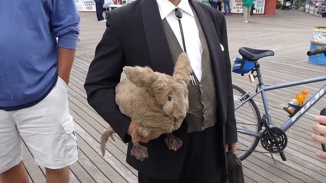 Sea Rabbit: CONEY ISLAND смотреть онлайн