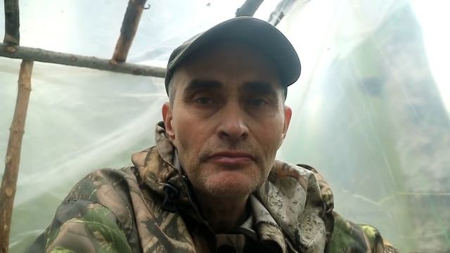 Строительство балагана паука. смотреть онлайн
