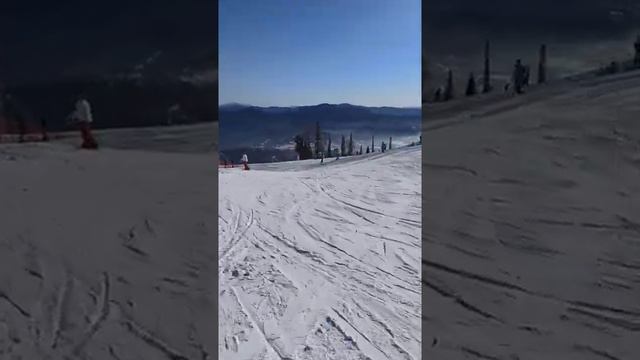 спуск по трассе Восточная Шерегеш!!! смотреть онлайн