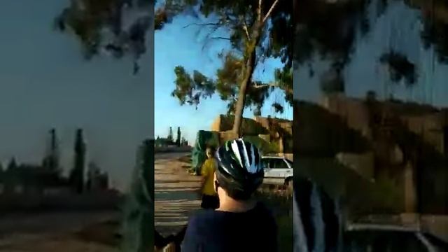 Катания на ослике Кипр смотреть онлайн