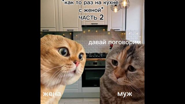 Серия 1 Как то раз на кухне с женой, говорящие коты смотреть онлайн