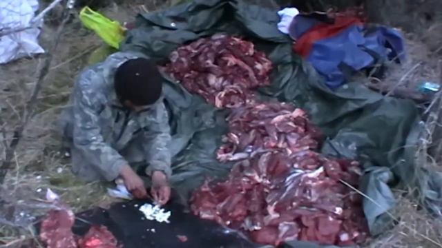 Охота на марала смотреть онлайн