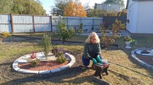 Газонная трава. В какое время года сеять газонную траву