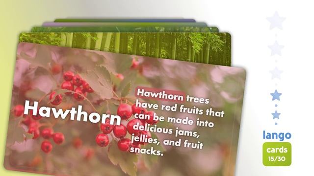 Trees And Plants | English Speaking Practice With English Vocabulary