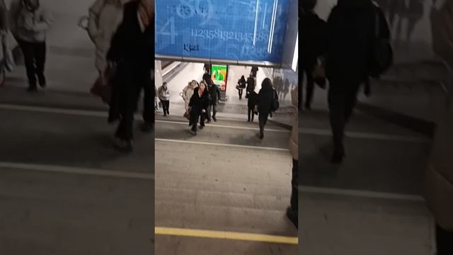 Ломоносовский проспект