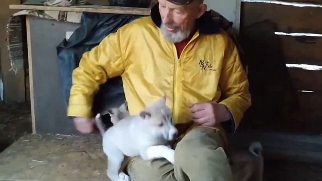 В гостях у Морозова Александра Павловича. Пермский край - 2019г.