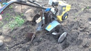 ПОСАДКА КАРТОШКИ НА УЧАСТКЕ ПО БОРОЗДЕ.