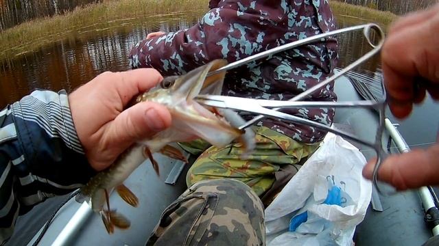 Осенняя рыбалка на карьерах.Часть 2!Kosadaka Intra XS 95F вечером зажгла! смотреть онлайн