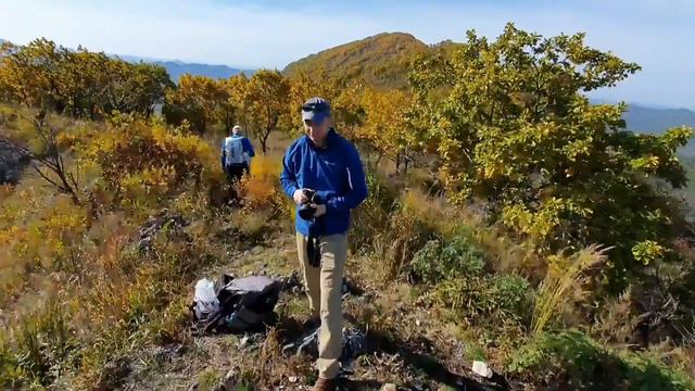 Чандолаз 9 окт 2021г смотреть онлайн