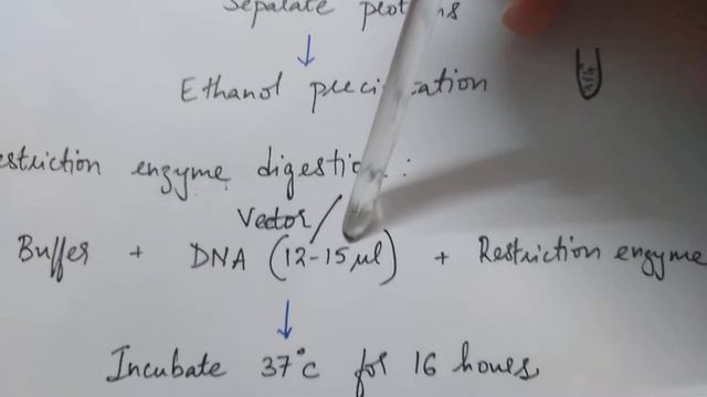 Gene cloning - digestion & ligation смотреть онлайн