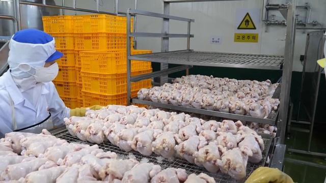 From Farm to Plate: The Journey of Chicken Processing смотреть онлайн