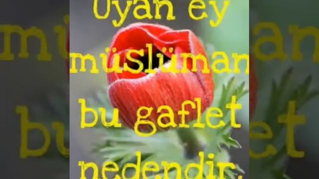 Uyan Müslüman Ilahisi